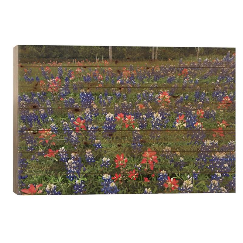 Bluebonnet And Paintbrush Meadow, Cedar Hill State Park, Texas Print On Wood by Tim Fitzharris - Multi-Color - 26x40x1.5