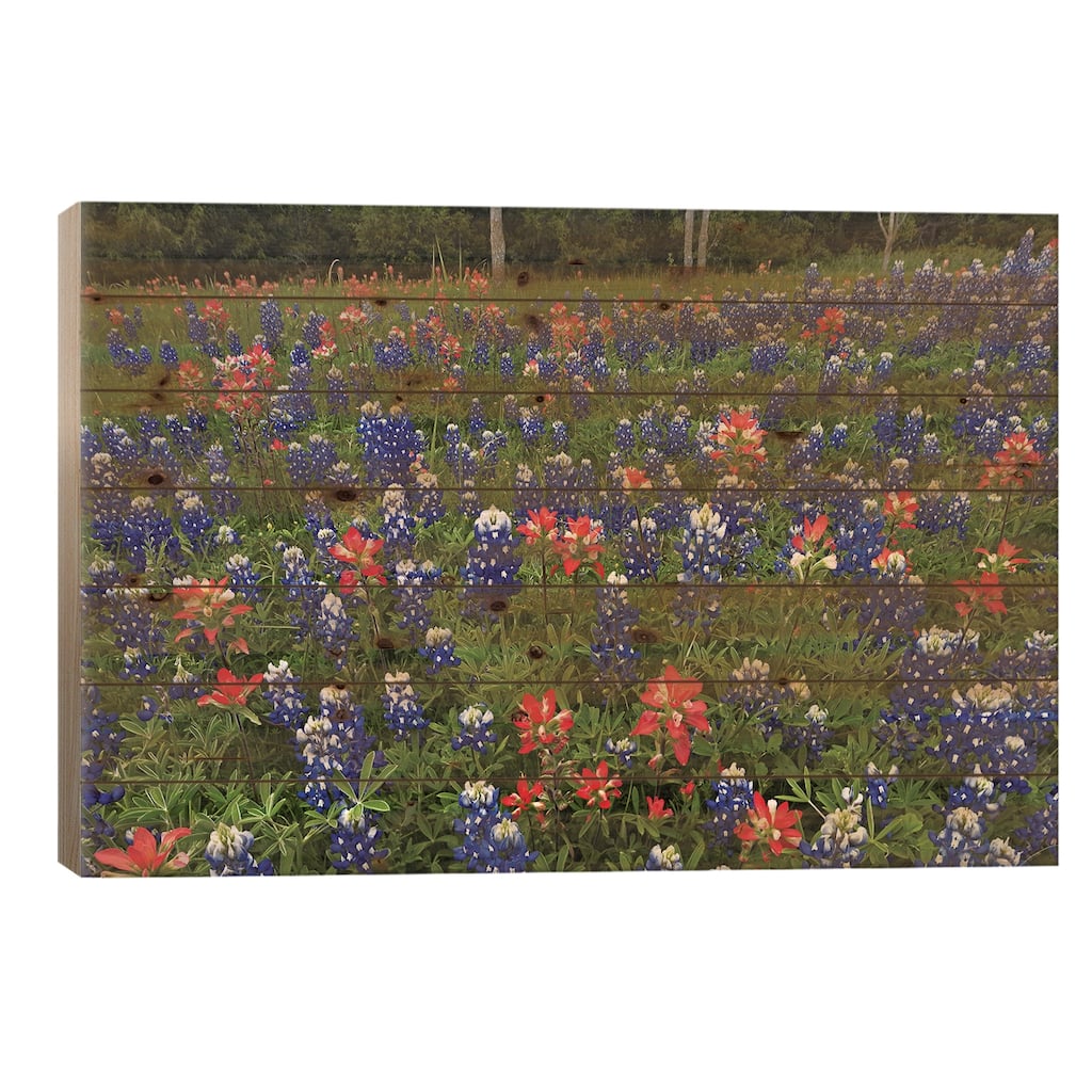 Bluebonnet And Paintbrush Meadow, Cedar Hill State Park, Texas Print On Wood by Tim Fitzharris - Multi-Color