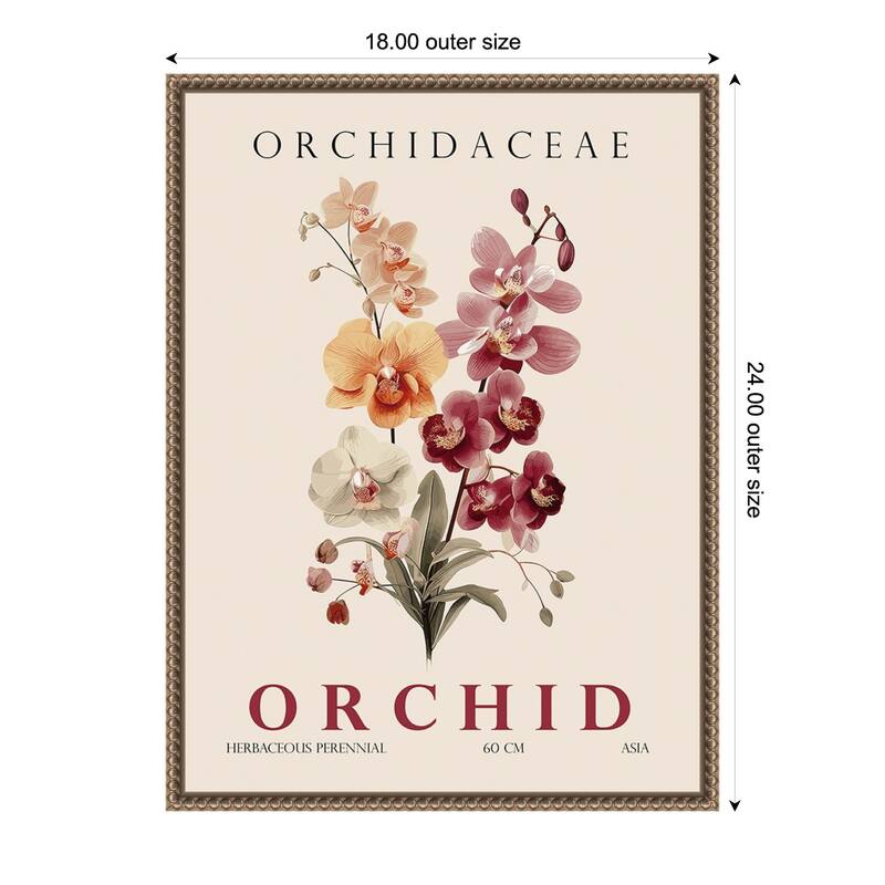 Vintage Botanical Orchid Illustration by Christopher Giampietro Framed Canvas Wall Art Print - Gold - 18 x 24 in