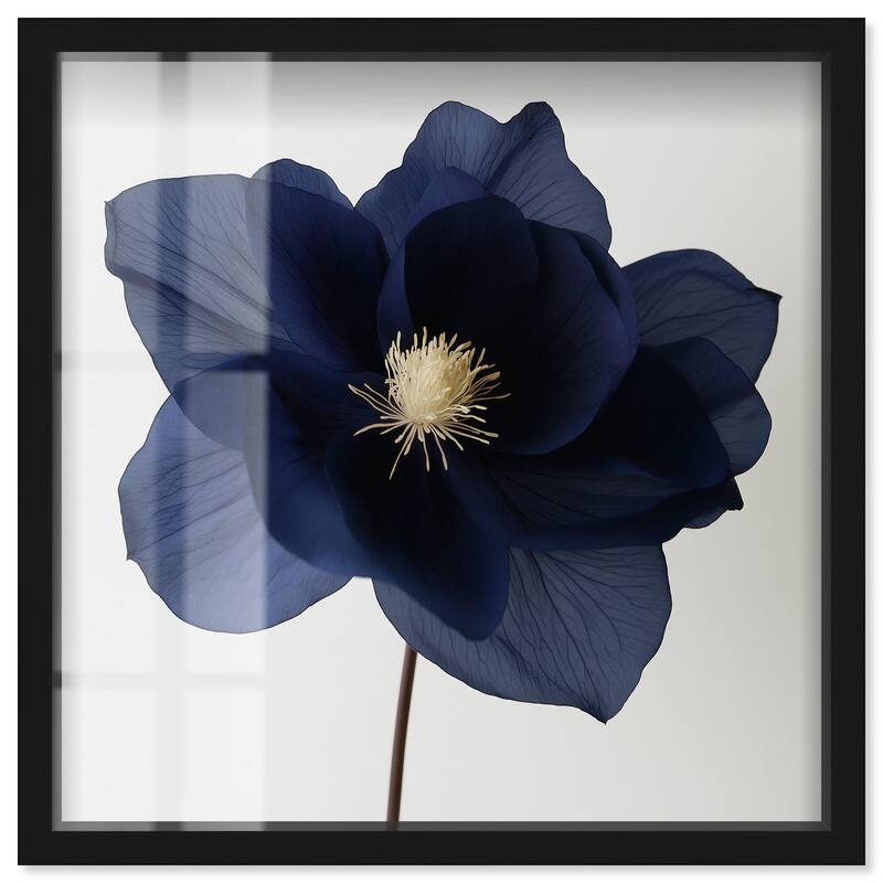 Night Dal III Shadowbox by Art Remedy - Black - 12" x 12"
