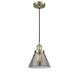 Option Antique Brass / Light Smoke