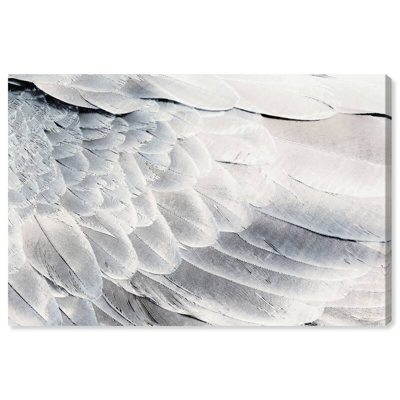 Wynwood Studio Canvas Animals Dove Back Gray and Silver Modern & Contemporary Wall Art Canvas Print