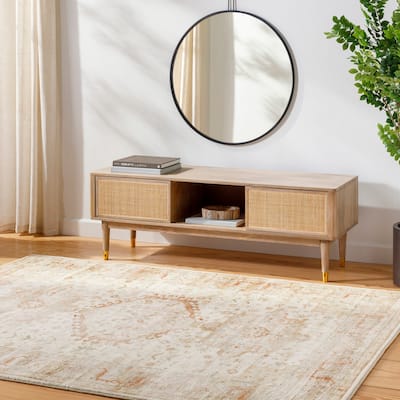 Livabliss Erin Traditional Area Rug