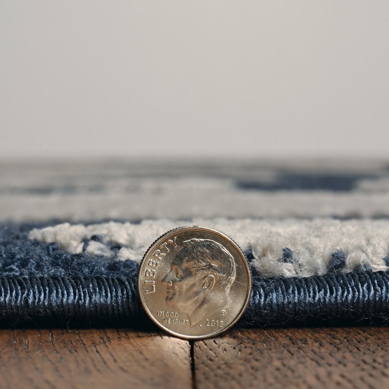 Allegra Bouey Costal Area Rug