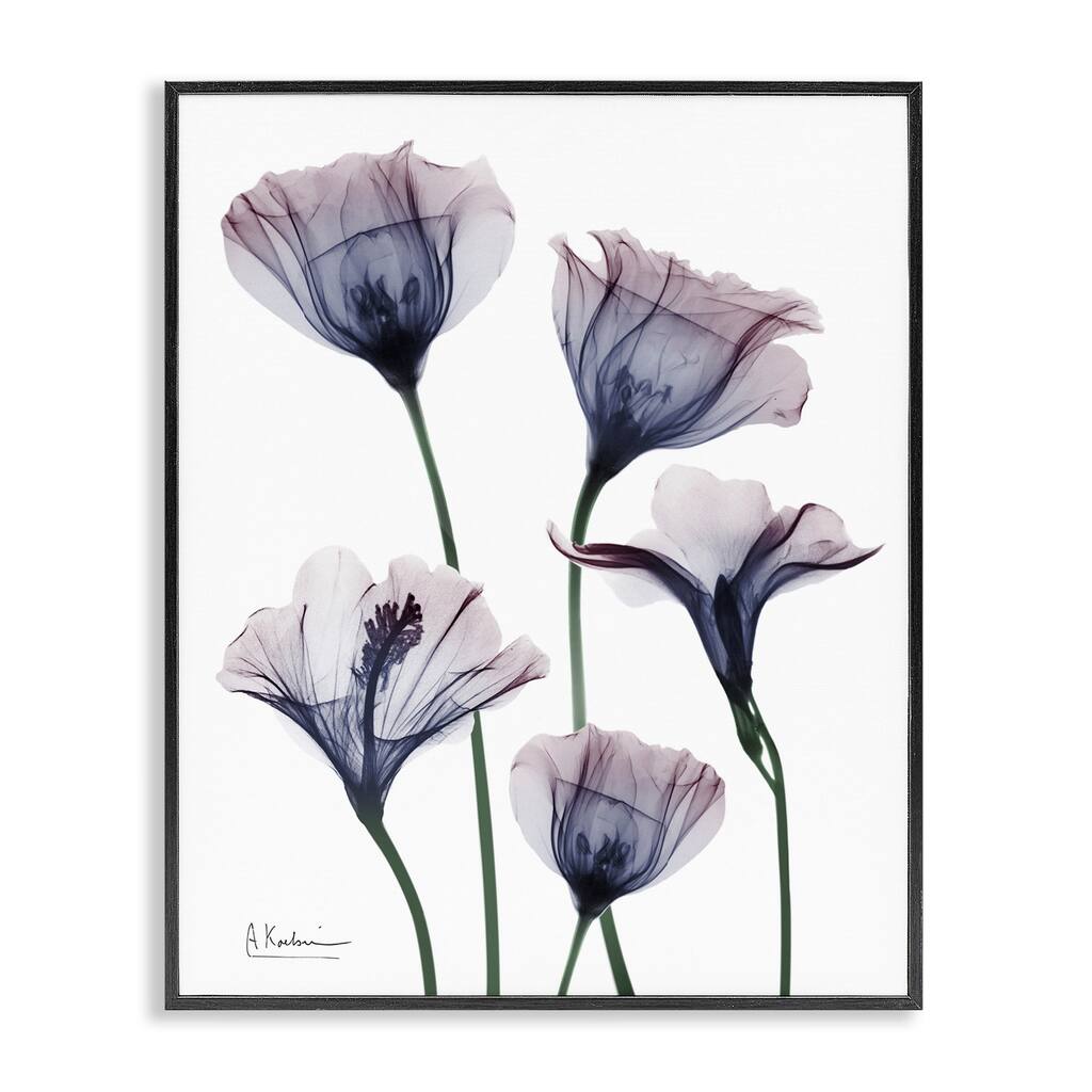 Stupell Subtle Fresh Flowers Framed Giclee Art Design By Albert Koetsier