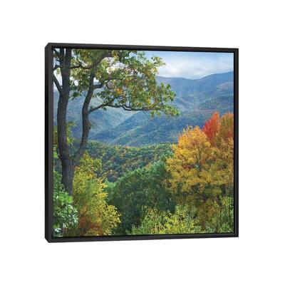 iCanvas "Deciduous Forest In Autumn, Blue Ridge Parkway, North Carolina" by Tim Fitzharris Framed Canvas Print