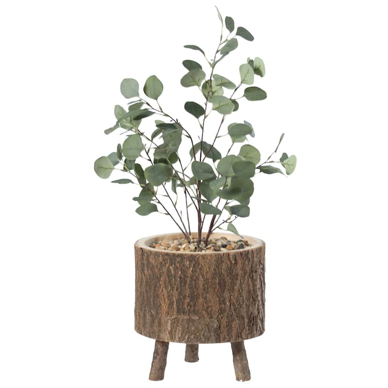 Wooden Stump Tree Log with Bark Planter Pot with Small Tree Branch Legs - Brown
