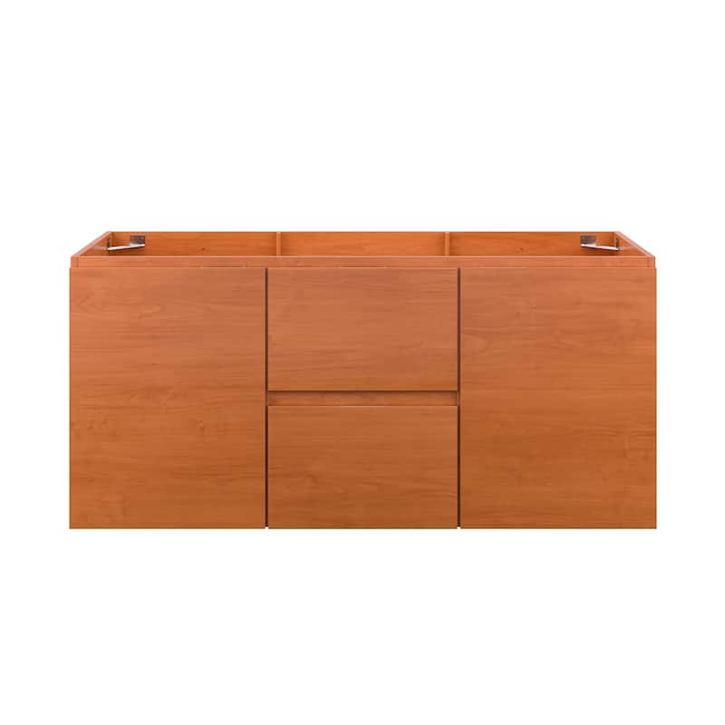Scenic 48" Single Sink Compatible (Not Included) Bathroom Vanity Cabinet