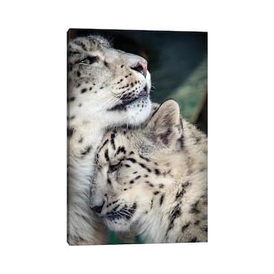 iCanvas "Snow Leopard Mother And Cab" by Nik Rave Canvas Print