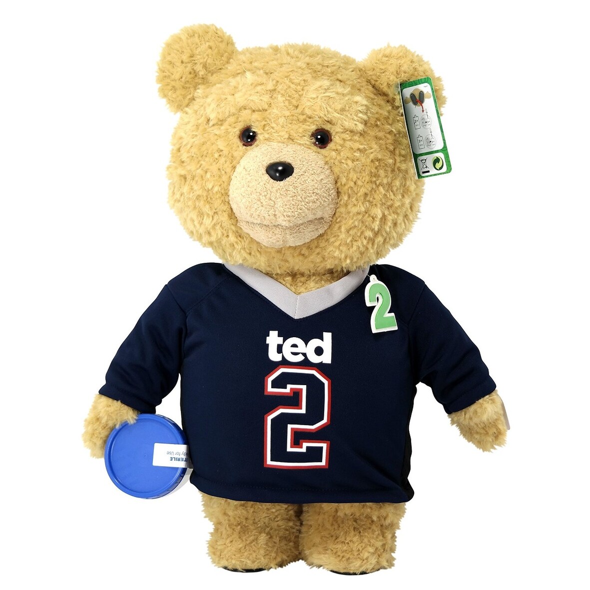 talking teddy