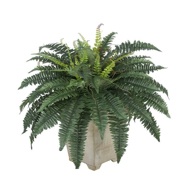 Faux Fern in Short Wood Washed Planter - White