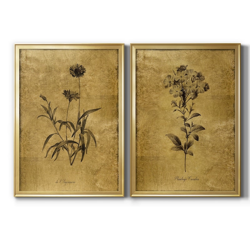 Gold Sketch Botanical I Premium Framed Print - Ready to Hang - Multi-Color