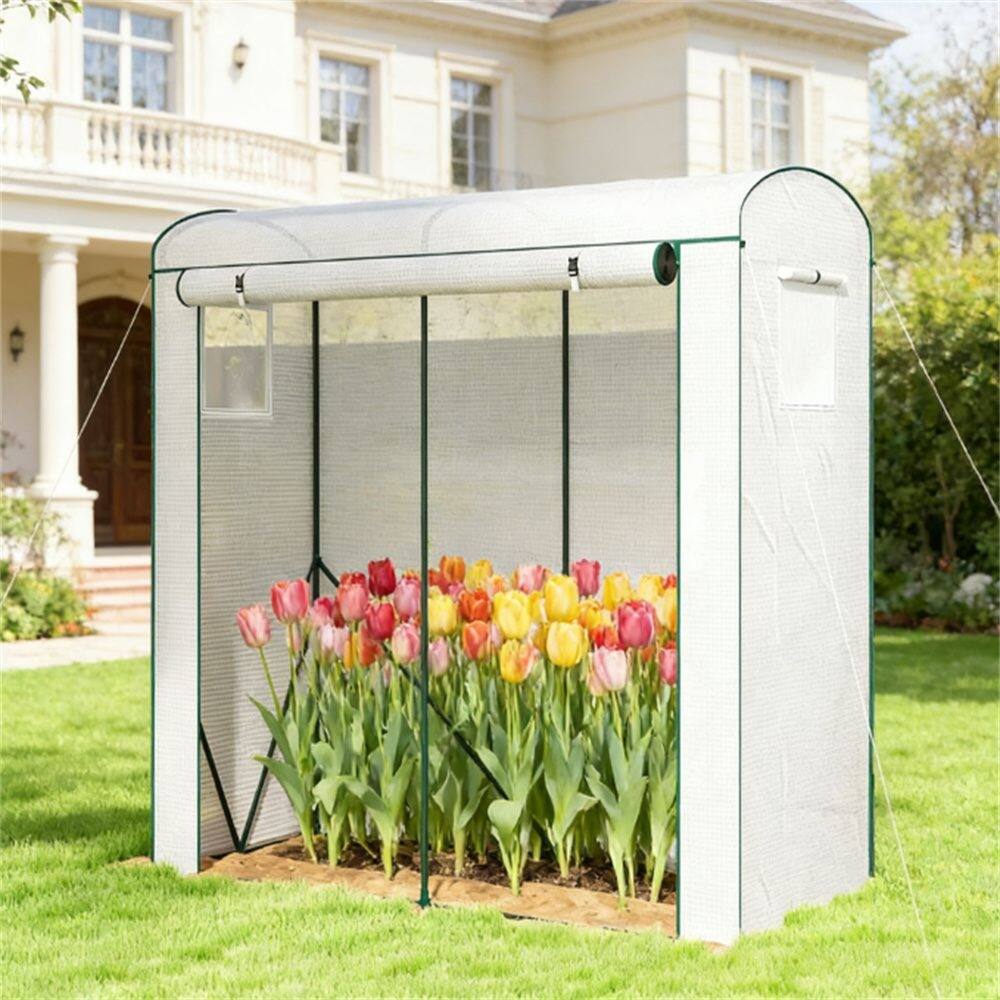 Mini Greenhouse, Portable Greenhouse, Planting Rack, Plant Rack, Green - white