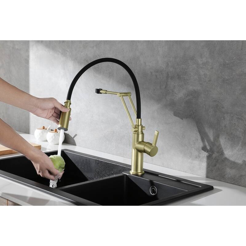 Indigo Home Single Handle Pull Down Sprayer Kitchen Faucet