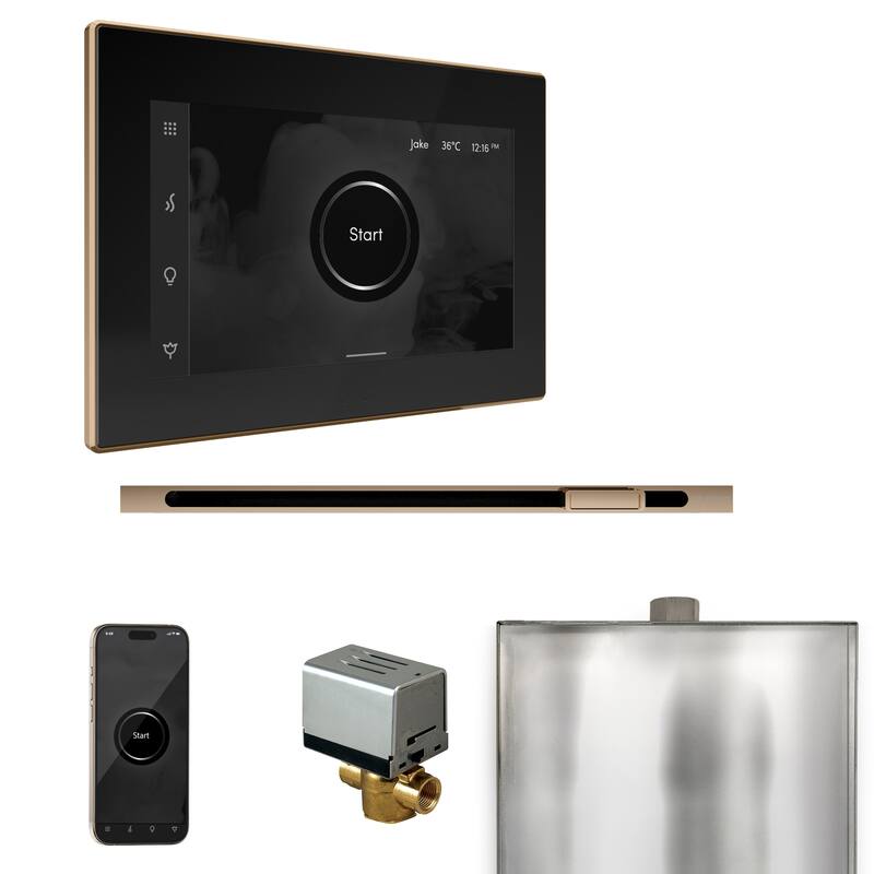 Mr Steam BXL Xbutler Linear Package Steam Shower Control Package with - Black / Polished Gold