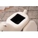 preview thumbnail 2 of 6, Animal Llama Kids Indoor Storage Ottoman