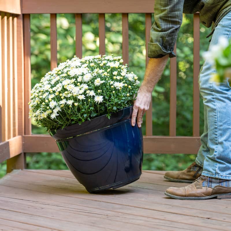 Southern Patio Kittredge Resin 17.5-inch Planter with Wheels