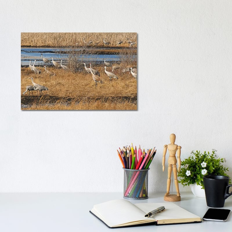 iCanvas "Sandhill Crane Migration" by Brian Wolf Canvas Print - 8x12x0.75