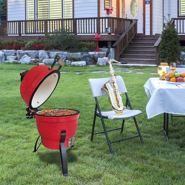 Ceramic store charcoal bbq