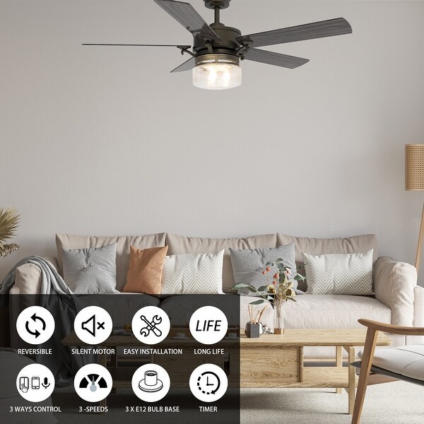 Smart ceiling fan alexa cheap