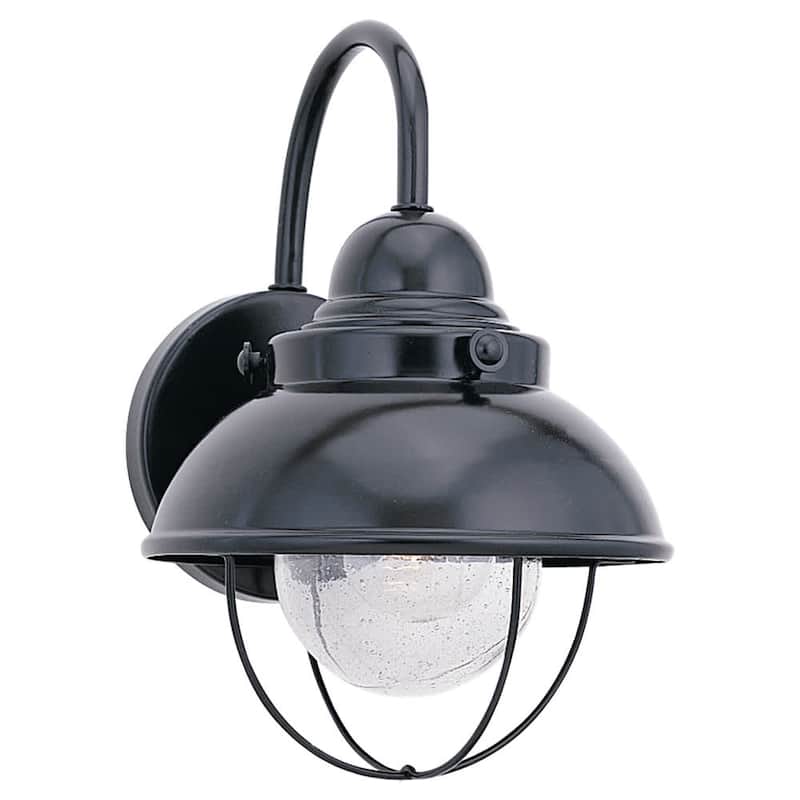 Roseto Calhoun Single Light 11" Tall Outdoor Wall Sconce - Black