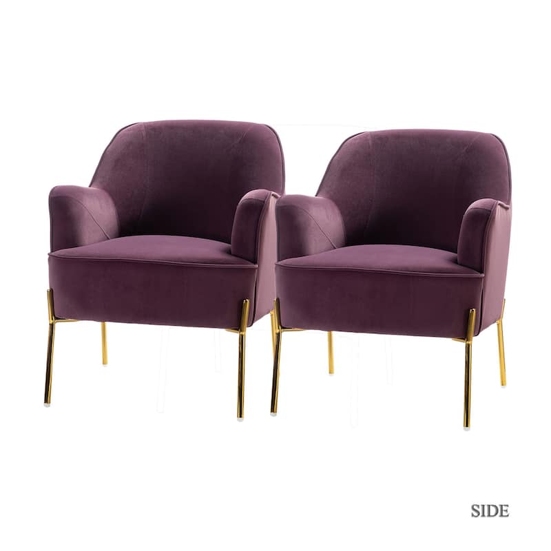 Marina Modern Velvet Accent Chair with Golden Legs Set of 2 by HULALA HOME