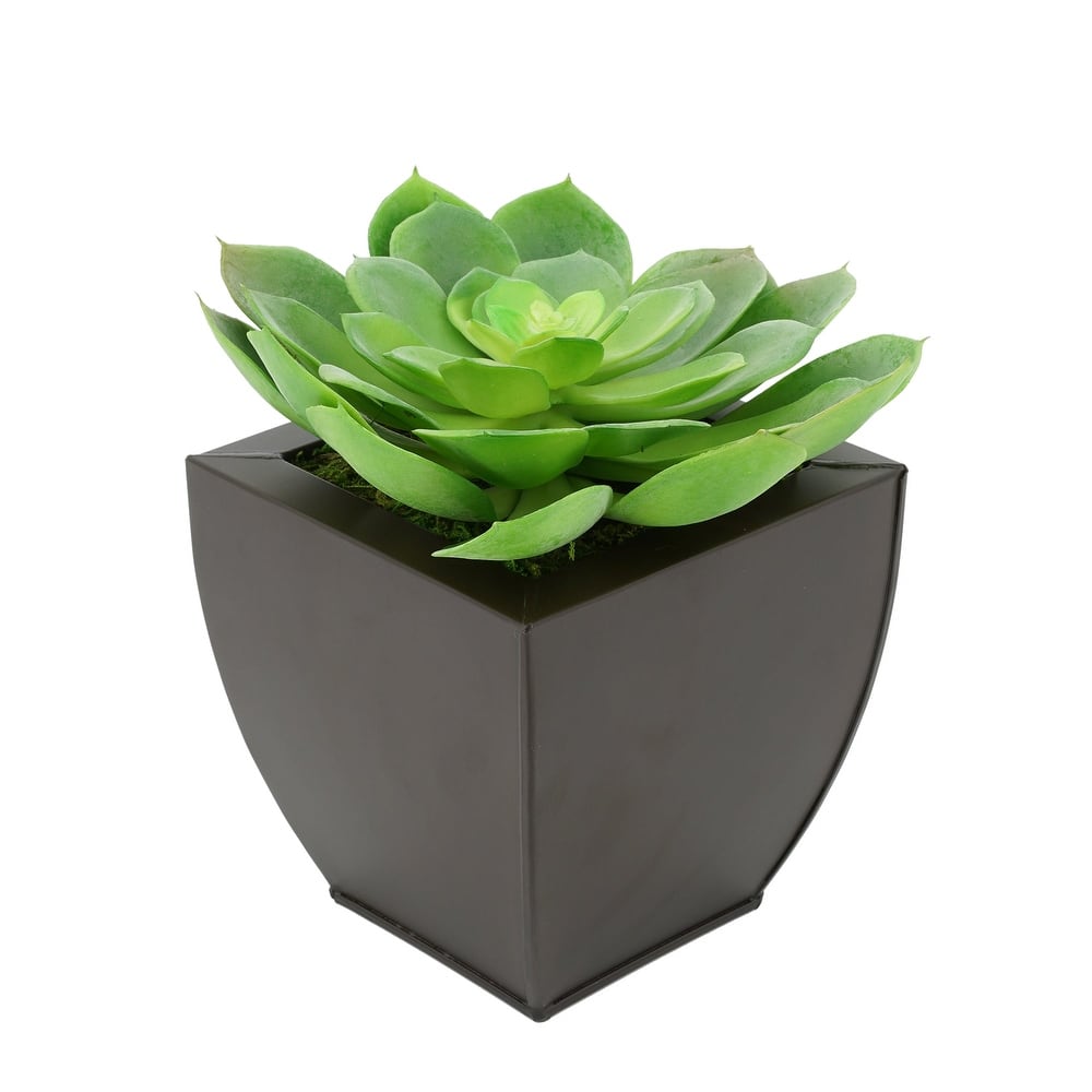 Faux Green Echeveria Succulent in Tapered Zinc Planter