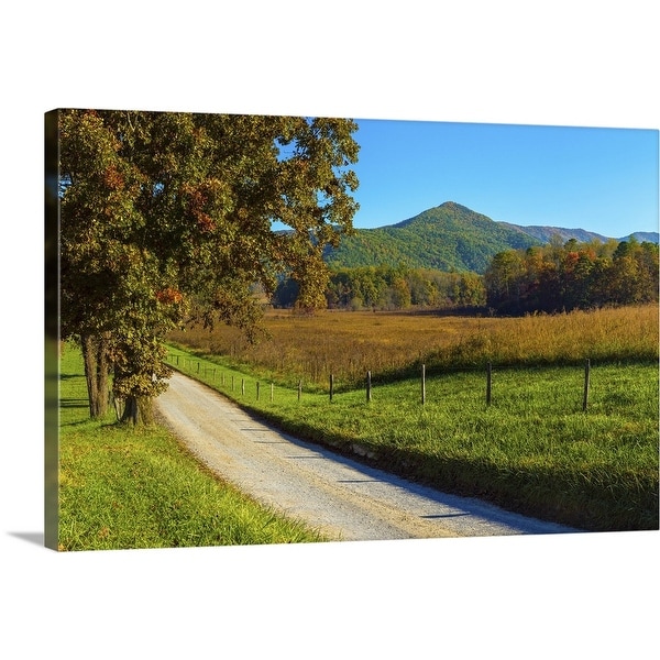 "Dirt road passing through a field, Great Smoky Mountains National Park" Canvas Wall Art