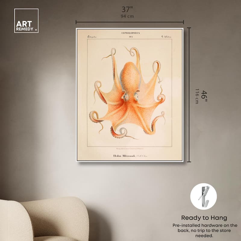 Verany The Octopus 1815 II Canvas by Art Remedy