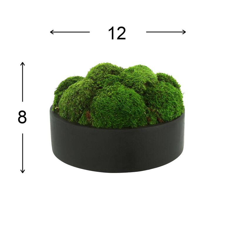 Rounded Moss in Fiberstone Planter - Green