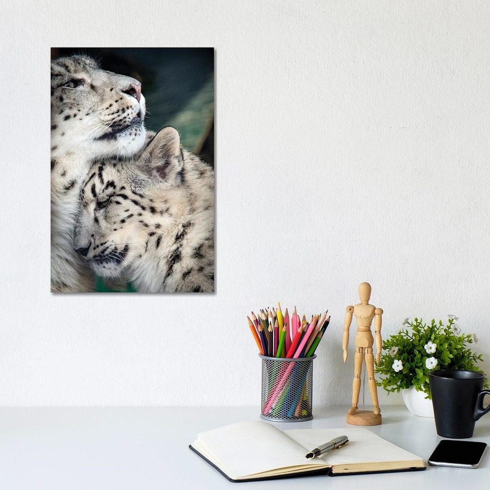 iCanvas "Snow Leopard Mother And Cab" by Nik Rave Canvas Print