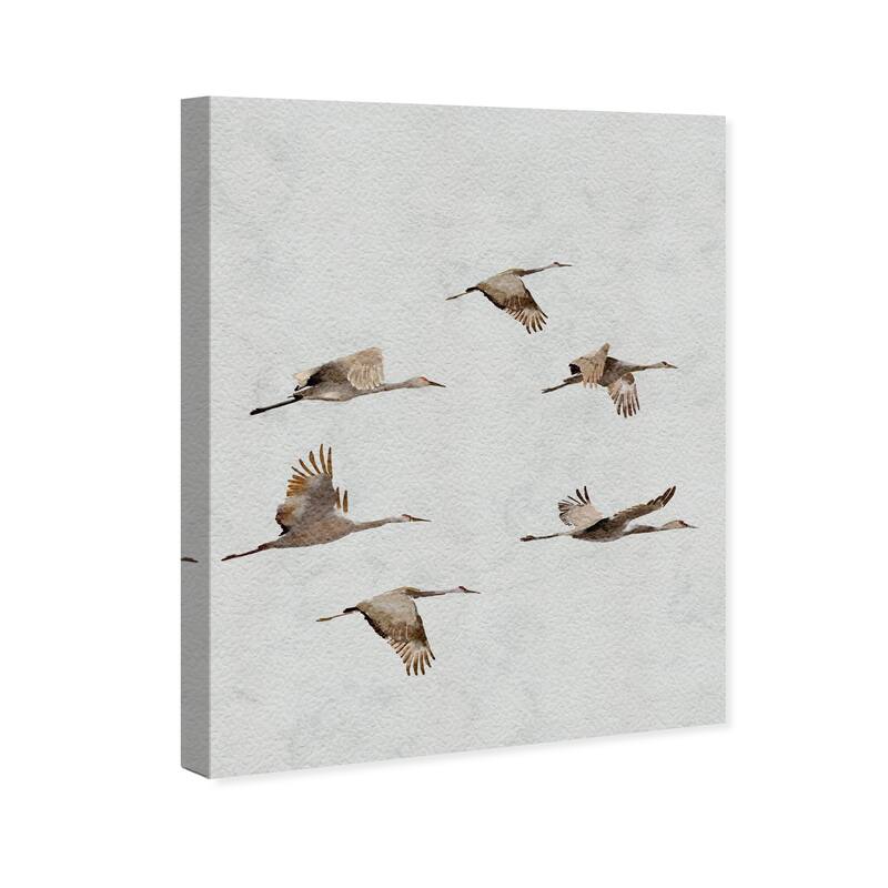 Wynwood Studio Canvas Animals Taking flight White and Modern & Contemporary Wall Art Canvas Print - White, Brown