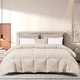 preview thumbnail 4 of 14, Beautyrest Color Feather And Down Comforter