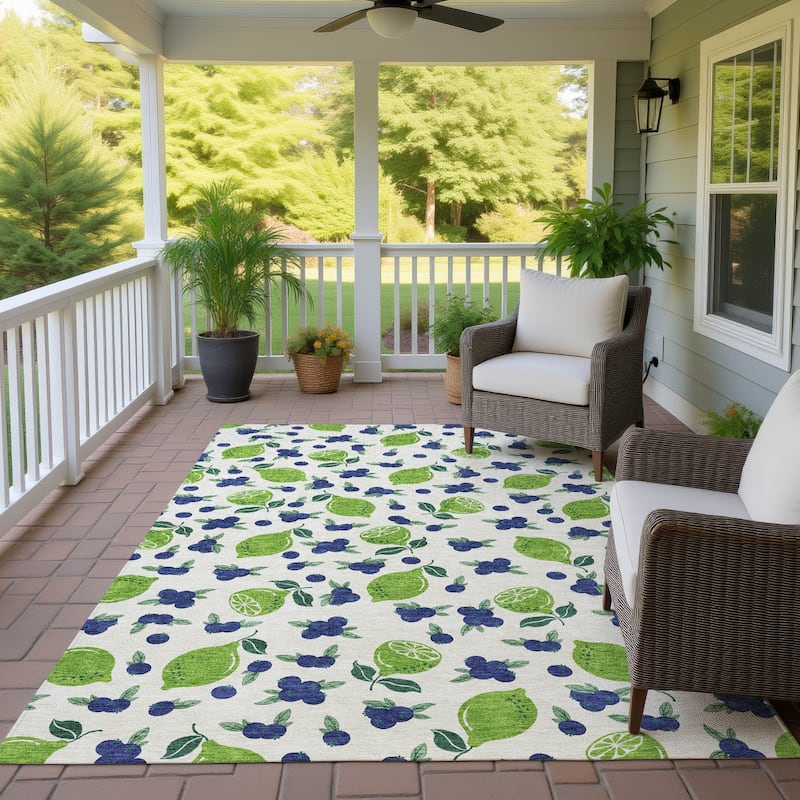 Machine Washable Indoor/ Outdoor Citrus Berry Chantille Rug