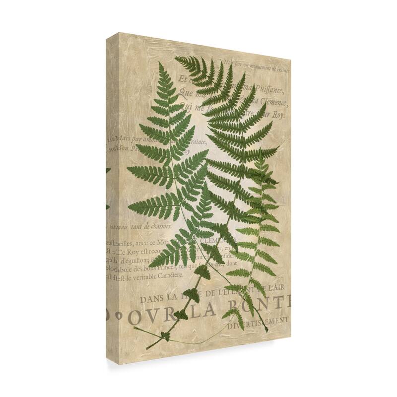 Vision Studio 'Fern Folio I' Canvas Art