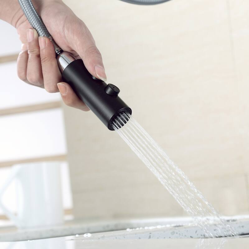 Luxier KTS21 Single Handle Pull Down Sprayer Kitchen Faucet