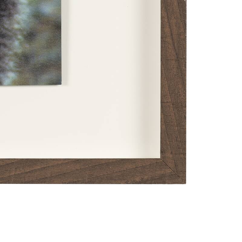 Grizzly Bear Framed Art Print