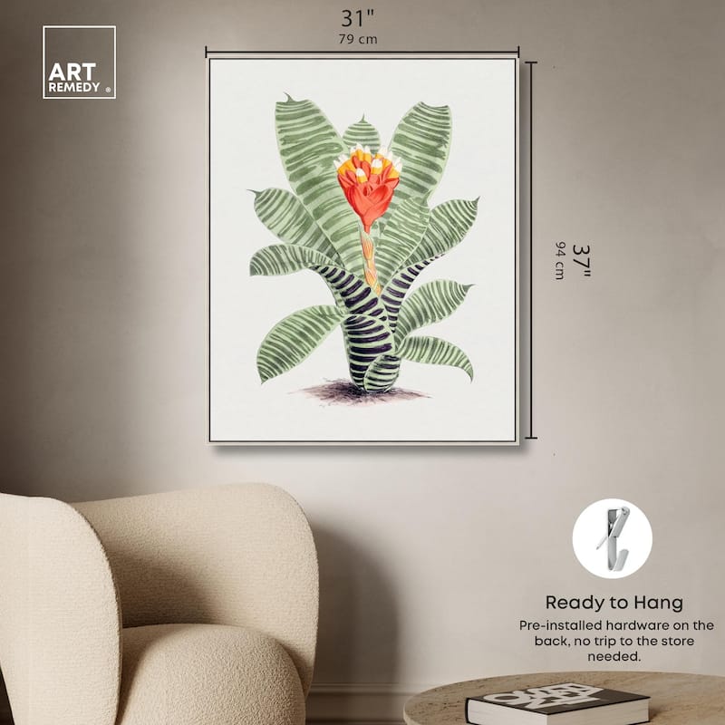 Tillandsia Musaica Plant Canvas by Art Remedy