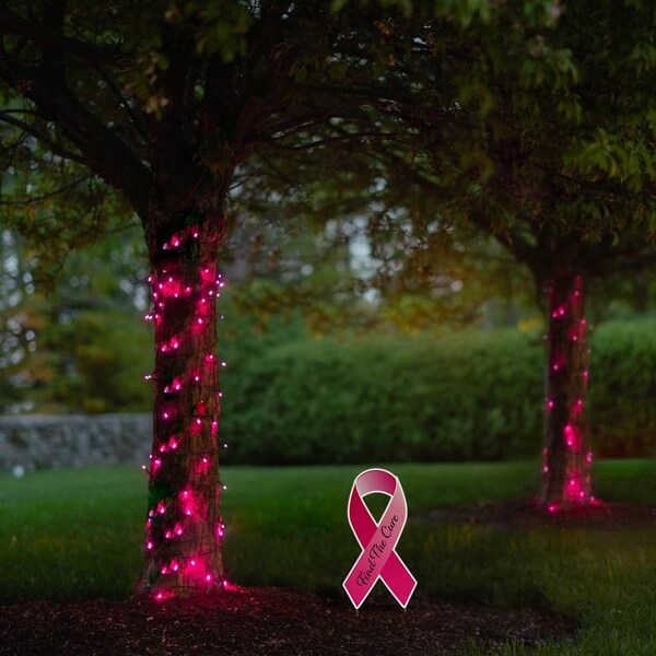 Pink solar string lights on sale