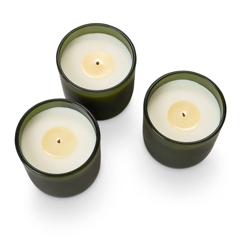 ILLUME Noble Holiday Balsam & Cedar Candle