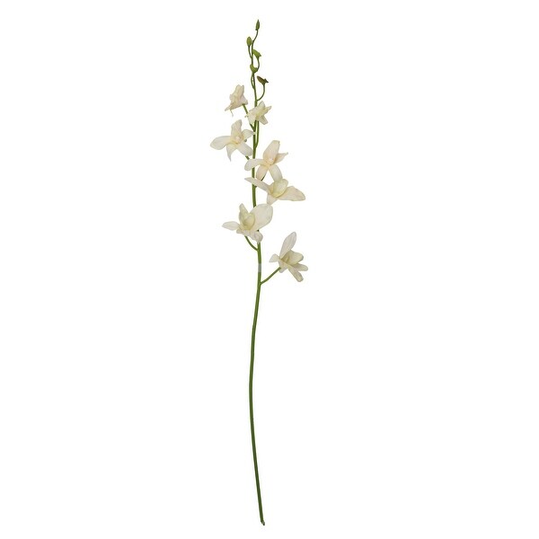 33" Cream And Orange Dendrobium Orchid Elegant Blooming Spray - N/A