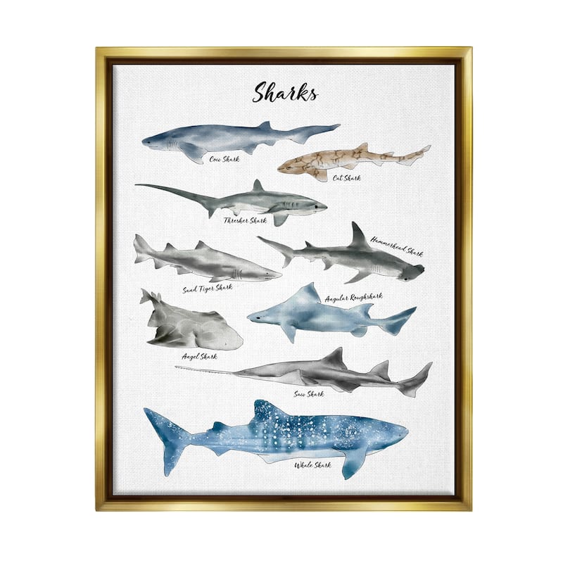 Stupell Nautical Shark Chart Watercolor Marine Animals Floater Frame - White
