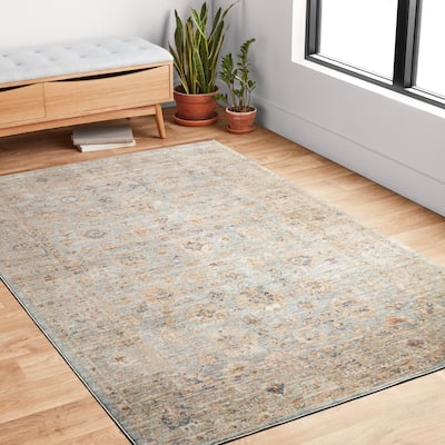 Alexander Home Austen Antique Washed Traditional Inspired Area Rug