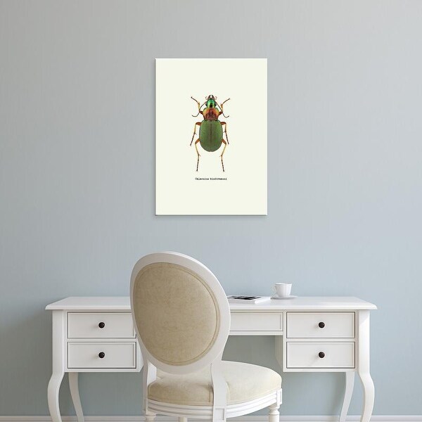 Easy Art Prints GraphINC's 'Beetle Green' Premium Canvas Art