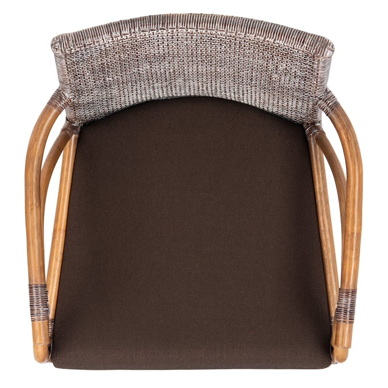 SAFAVIEH Vasatha Tropical Coastal Cushion Arm Chair - 21.5" W x 23.5" L x 32.3" H - 22"Wx24"Dx32"H