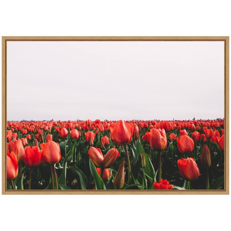 Kate and Laurel Sylvie Vibrant Red Tulip Flower Field Framed Canvas by Patricia Hasz of Patricia Rae Photography