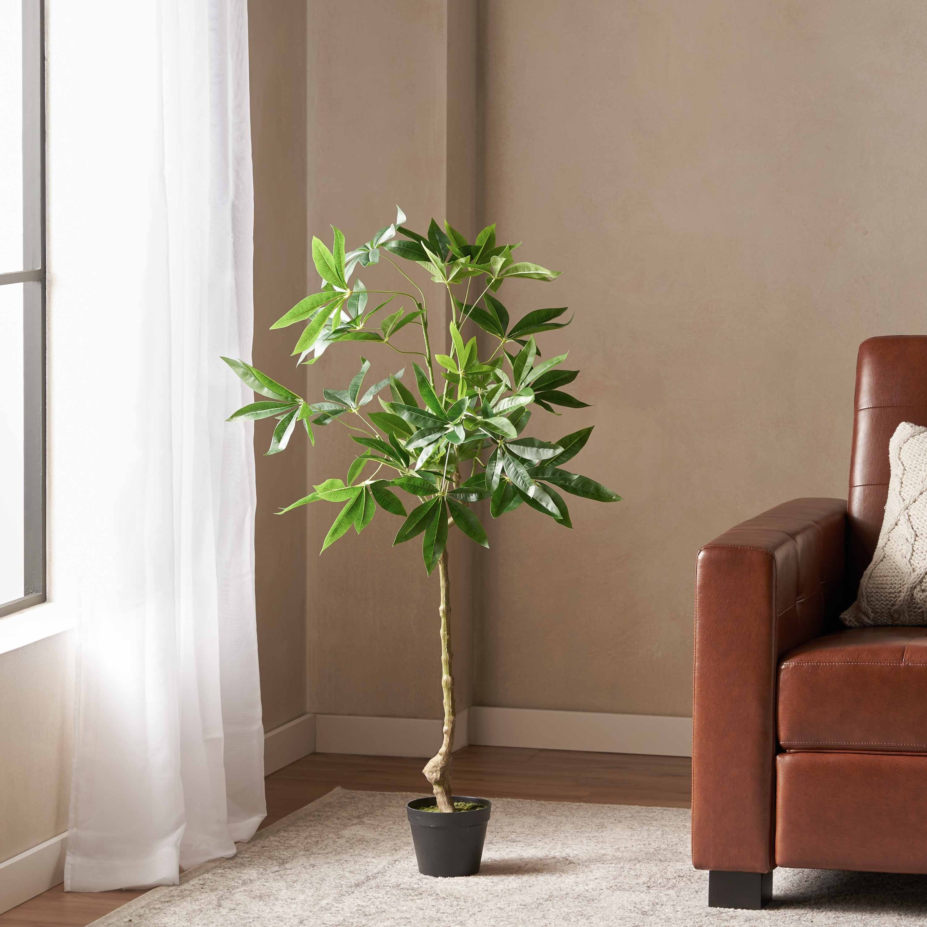 Money Tree with Large Hand Shaped Leaves for Office, Broad Leaf Evergreen  Tree, Fake Potted Topiary Tree with Dried Moss - Bed Bath & Beyond -  41494667