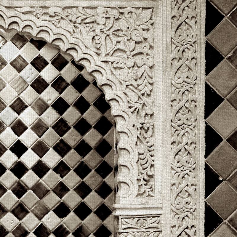 Espal #5 by Alan Blaustein Canvas Art Print