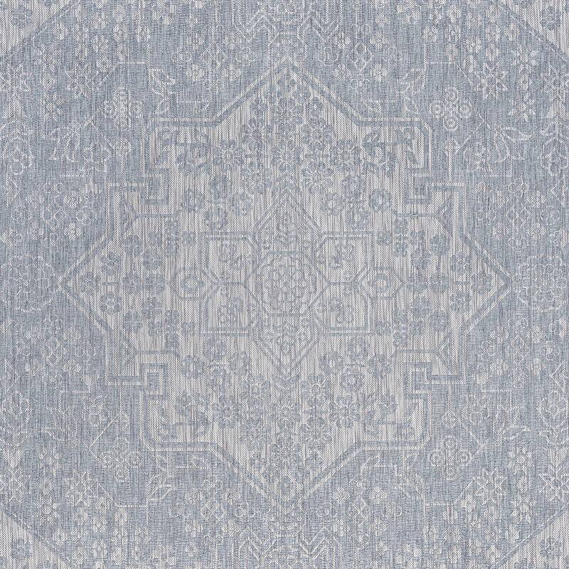 Colonnade Traditional Medallion Indoor/Outdoor Area Rug