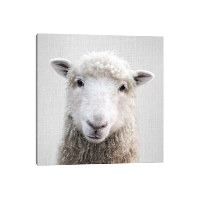 iCanvas "Sheep" by Gal Design Canvas Print